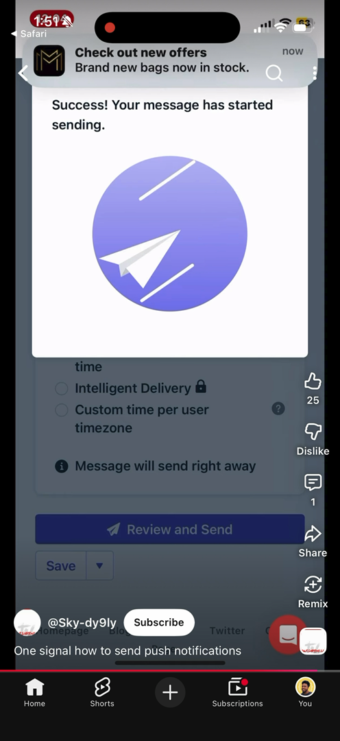 OneSignal demo screenshot